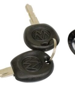 Ignition Lock Cylinder, with Keys, Type 1 68-70, Ghia 68-70, Type 2 68-70, Type 3 68-70, Each - FREE SHIPPING